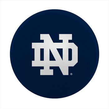 Notre Dame Fighting Irish High Bounce Ball
