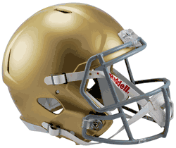 Notre Dame Fighting Irish Speed Replica Full Size Football Helmet