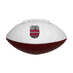 Ohio State Buckeyes 100th Anniversary Full Size Autograph Football