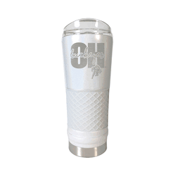 Ohio State Buckeyes 24oz Opal Draft Tumbler