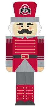 Ohio State Buckeyes 31