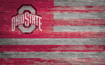 Ohio State Buckeyes Distressed Flag 11x19