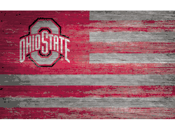 Ohio State Buckeyes Distressed Flag 11x19