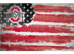 Ohio State Buckeyes Flag 17x26