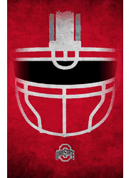 Ohio State Buckeyes Ghost Helmet 17x26