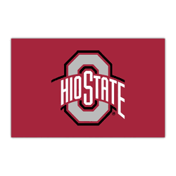 Ohio State Buckeyes HiDef Rookie Mat - 18in. X 30in.