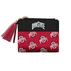 Ohio State Buckeyes Mini Organizer