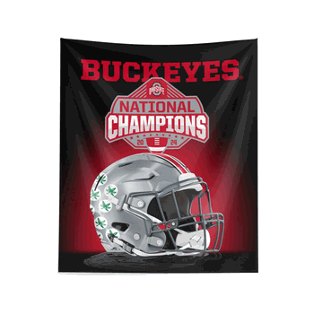 Ohio State Buckeyes NCAA 2024 FBC Spotlight Wall Hanging 34X40 Inches