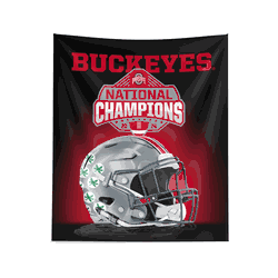Ohio State Buckeyes NCAA 2024 FBC Spotlight Wall Hanging 34X40 Inches