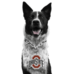 Ohio State Buckeyes Pet Fan Chain