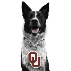 Oklahoma Sooners Pet Fan Chain