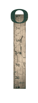 Oregon Ducks Growth Chart Sign 6x36