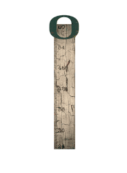 Oregon Ducks Growth Chart Sign 6x36