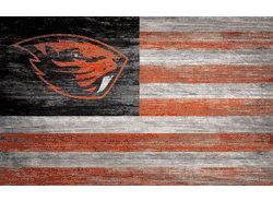 Oregon State Beavers Distressed Flag 11x19