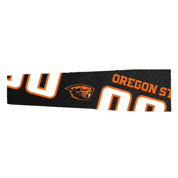 Oregon State Beavers FanBand