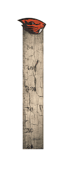 Oregon State Beavers Growth Chart Sign 6x36