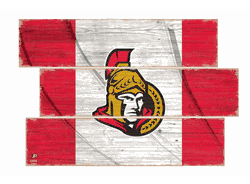 Ottawa Senators American Flag 3 Plank