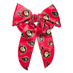 Ottawa Senators Big Bow