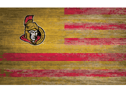 Ottawa Senators Distressed Flag 11x19