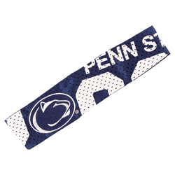 Penn State Nittany Lions FanBand