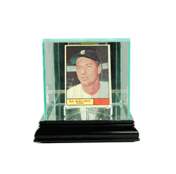 Perfect Cases Single Card Display Case - Black