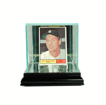 Perfect Cases Single Card Display Case - Black