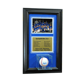 Perfect Cases Wall Mounted Baseball Case with 5x7 and Engraving Plate for Team Award -