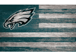 Philadelphia Eagles Distressed Flag 11x19