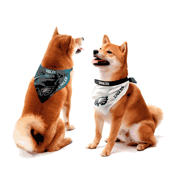 Philadelphia Eagles Home and Away Pet Bandana Set Large