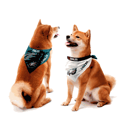 Philadelphia Eagles Home and Away Pet Bandana Set Large
