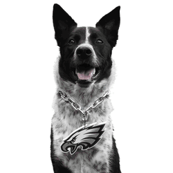 Philadelphia Eagles Pet Fan Chain
