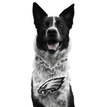 Philadelphia Eagles Pet Fan Chain