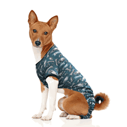 Philadelphia Eagles Pet PJs Medium