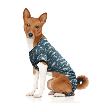 Philadelphia Eagles Pet PJs XL
