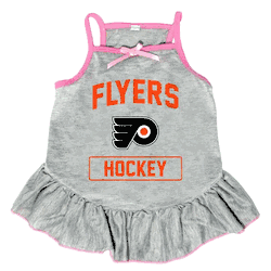 Philadelphia Flyers Pet Dress Grey Type Medium