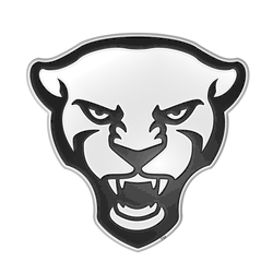 Pitt Panthers Molded Chrome Plastic Emblem