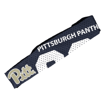 Pittsburgh Panthers FanBand