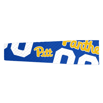 Pittsburgh Panthers FanBand