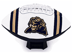Pittsburgh Panthers Full Size Jersey Football CO
