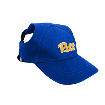 Pittsburgh Panthers Pet Baseball Hat Large