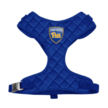 Pittsburgh Panthers Velvet Pet Harness - Medium