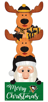 Pittsburgh Penguins 31