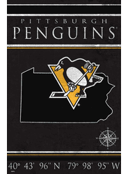 Pittsburgh Penguins Coordinates 17x26
