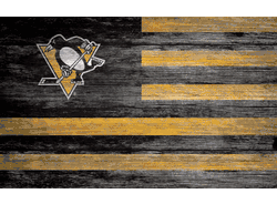 Pittsburgh Penguins Distressed Flag 11x19