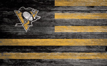 Pittsburgh Penguins Distressed Flag 11x19