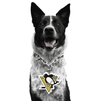 Pittsburgh Penguins Pet Fan Chain