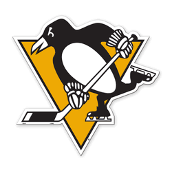 Pittsburgh Penguins Vinyl Magnet