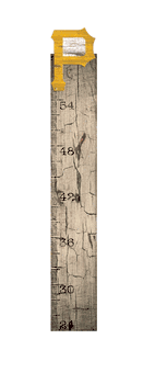 Pittsburgh Pirates Growth Chart Sign 6x36