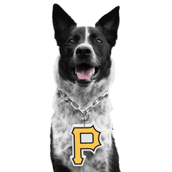 Pittsburgh Pirates Pet Fan Chain