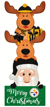 Pittsburgh Steelers 31